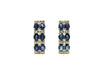 Blue Sapphire And Diamond 2row Parallel Earring Ad No.0985